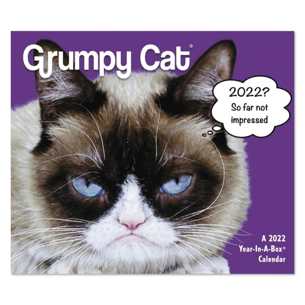 Grumpy cat 2022 calendar